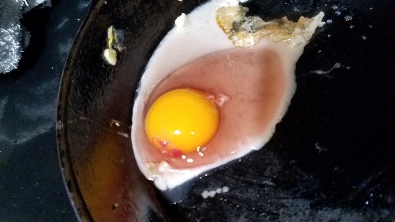 redegg.jpg