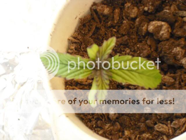 DSCF1216.jpg