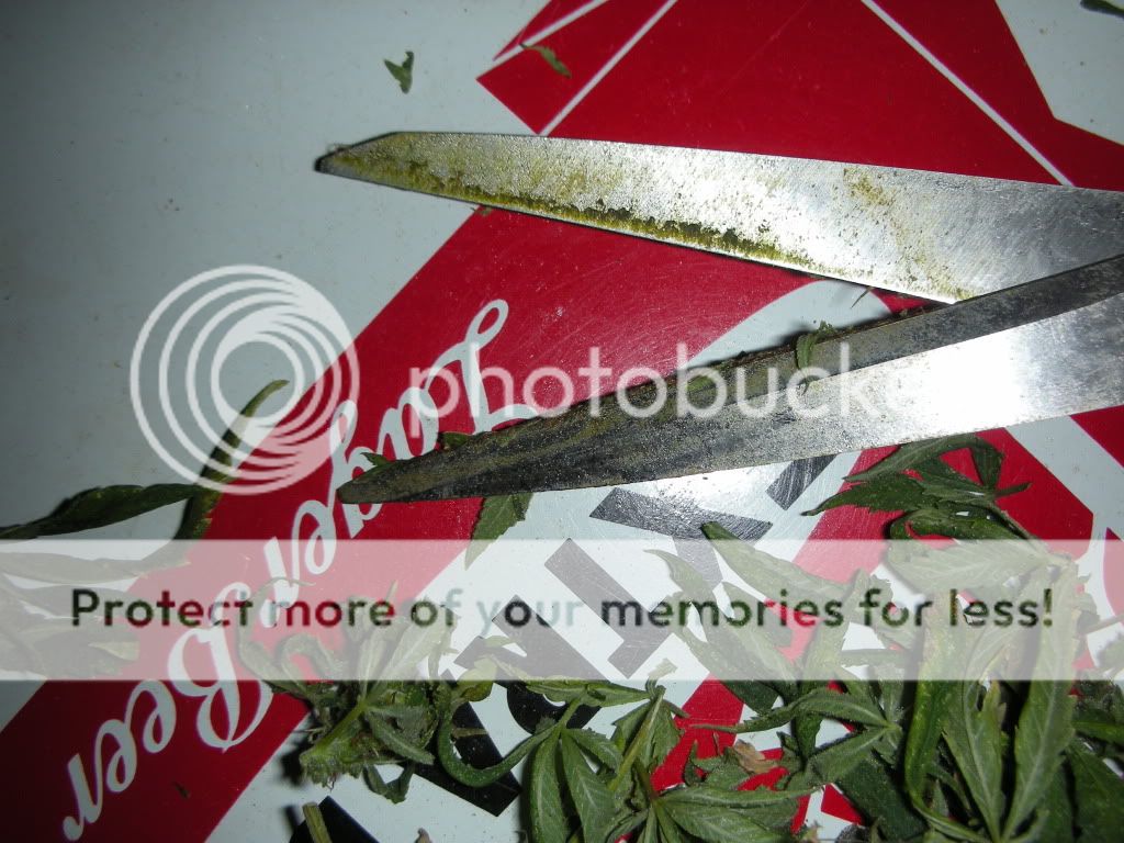 DSCN2664.jpg