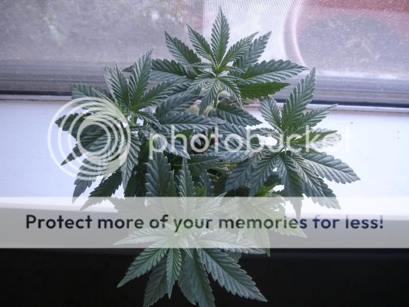 okjhgfdfg003.jpg