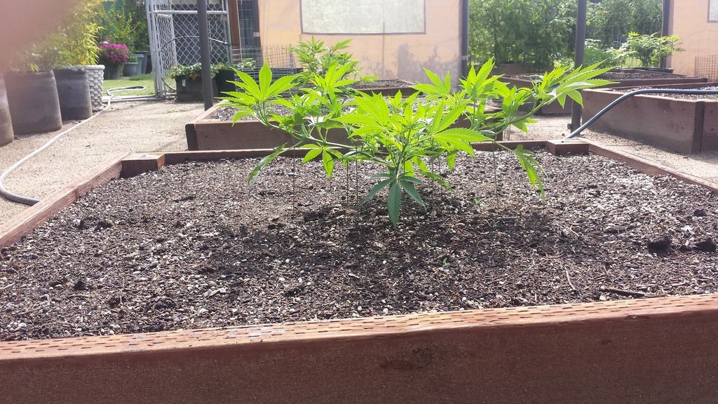20150520_094345.jpg
