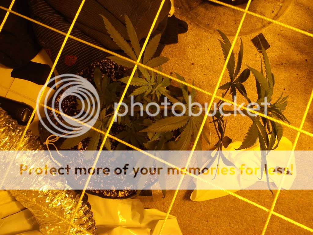 DSCF3056.jpg