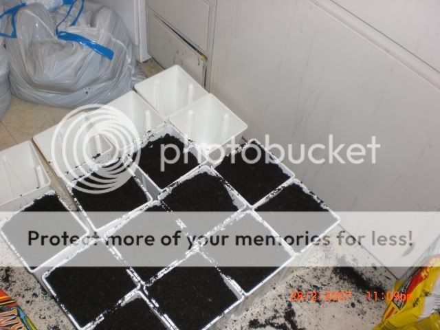 soil.jpg