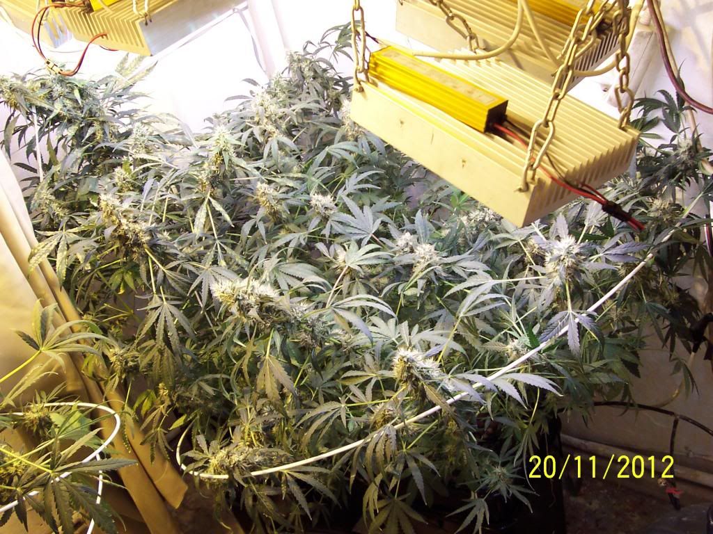 100_2894.jpg