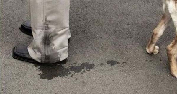 dog-pees-on-man.jpg