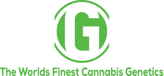 www.cannageneticsbank.com