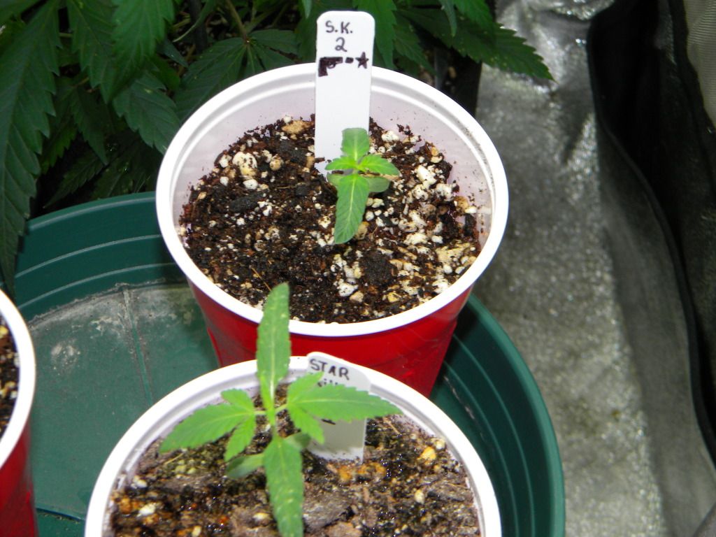 DSCN3710.jpg