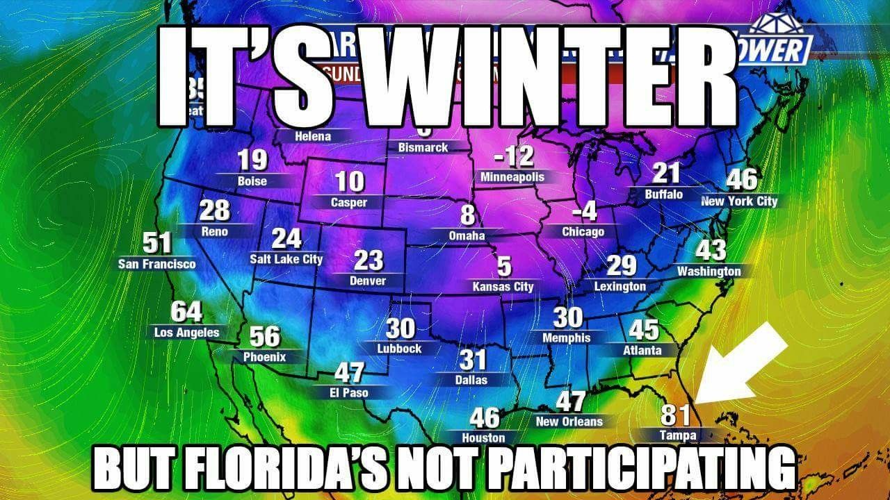 Pin by JAY DRIGUEZ on Lol | Florida funny, Florida, Florida weather