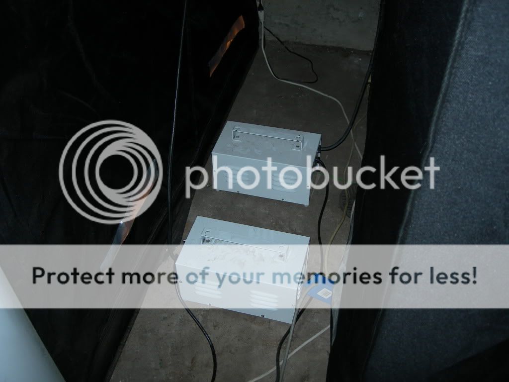 DSCN7855.jpg