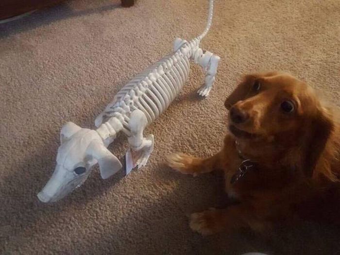 acid_picdump_18.jpg