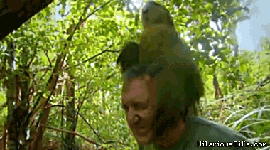 91ErR.gif
