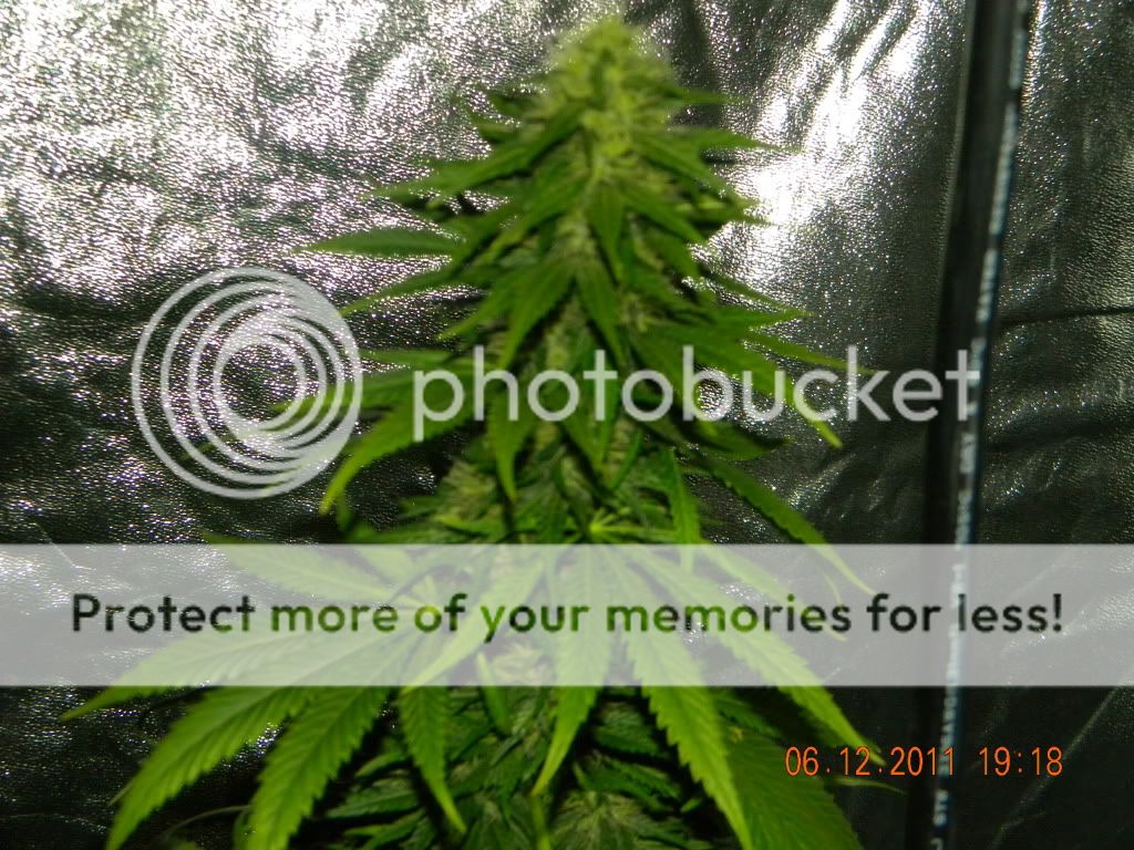 DSCN2365.jpg