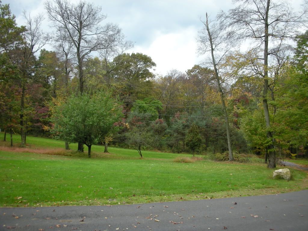 DSCN3644.jpg