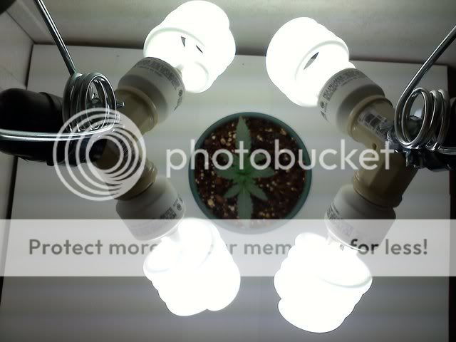20111201180257.jpg