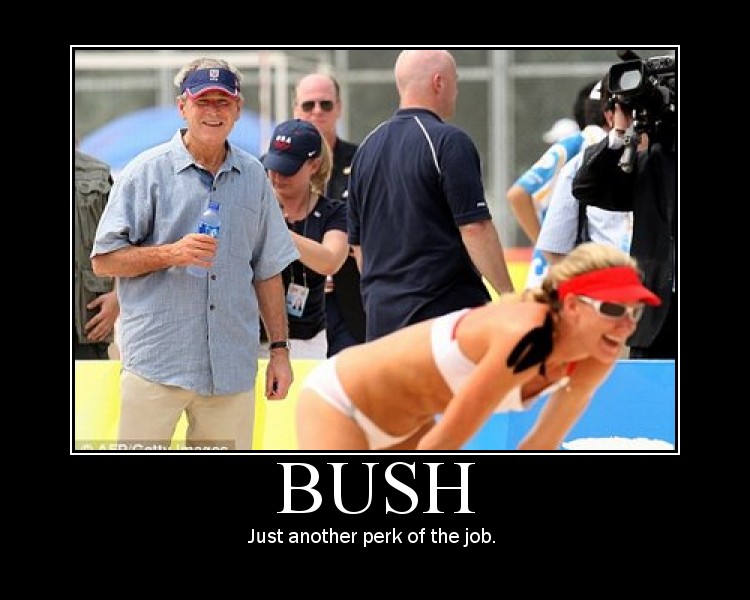 bush.jpg