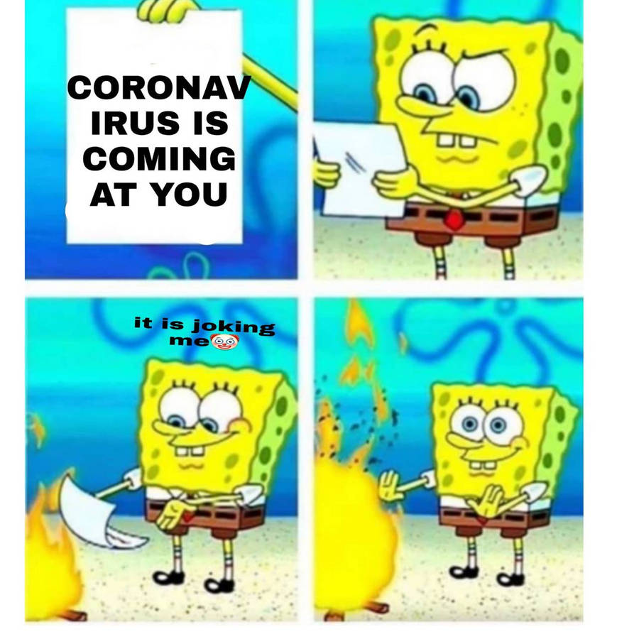 28845919.jpg