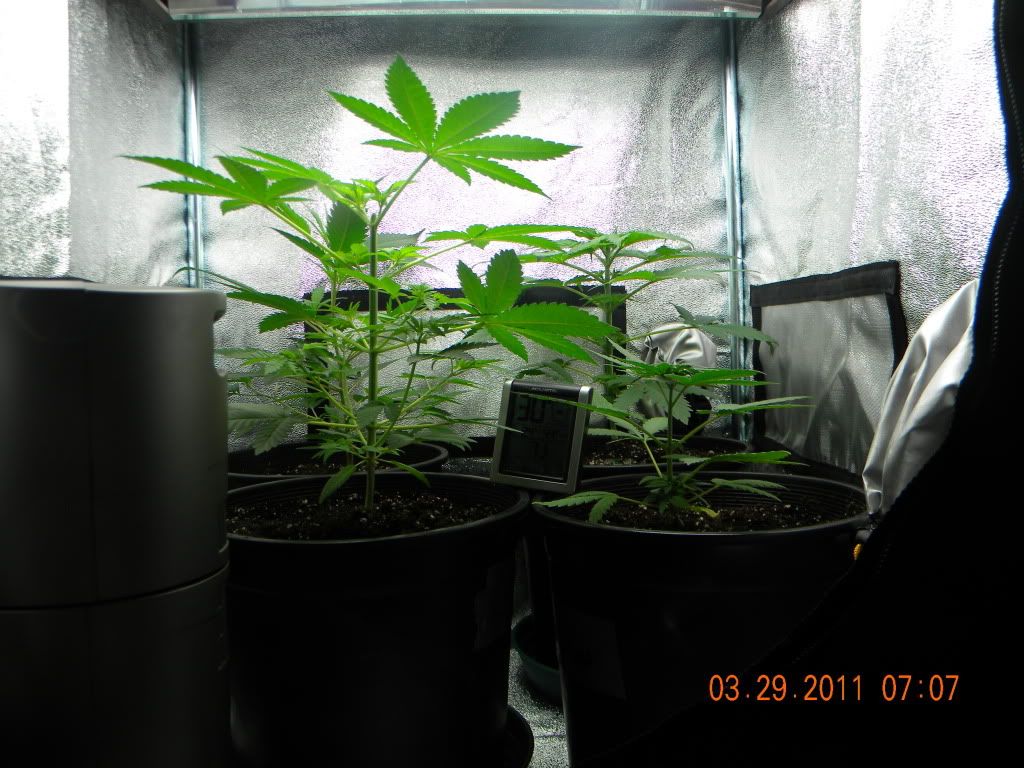 DSCN2116.jpg