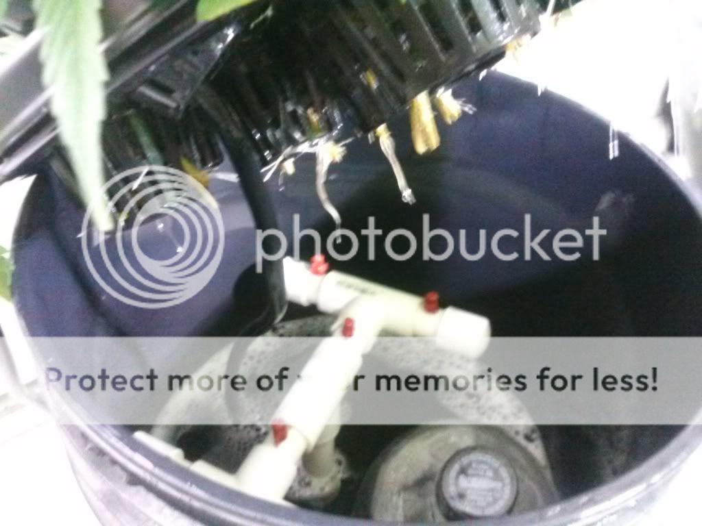 CAM00190_zps8655aae9.jpg