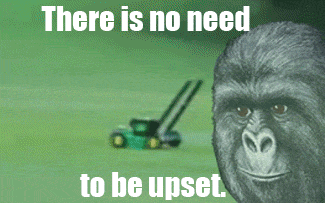 tumblr_m7djweM0eP1r9j2m0o1_400.gif