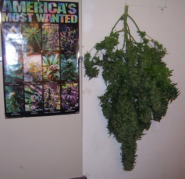 000_3347.jpg