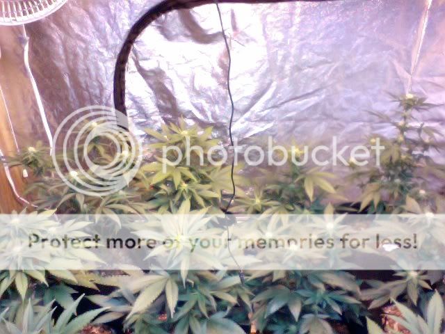 Photo17-1.jpg