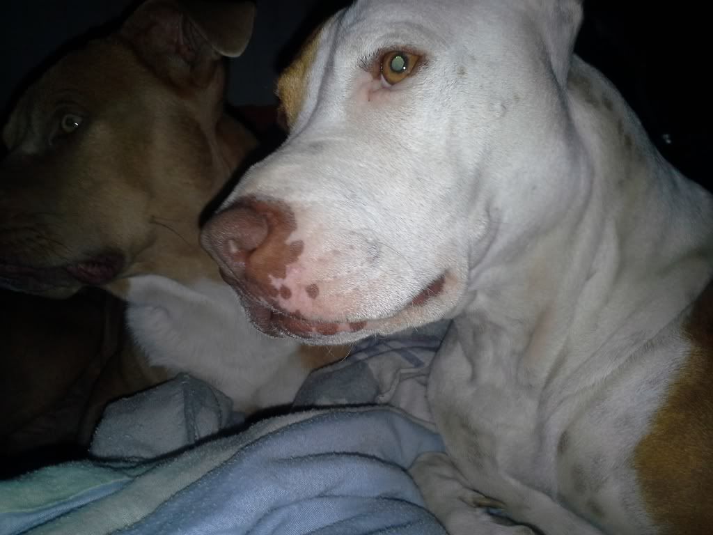 20131103_115319.jpg