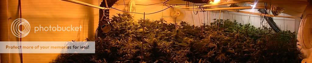 CAM00646_zps221c8328.jpg