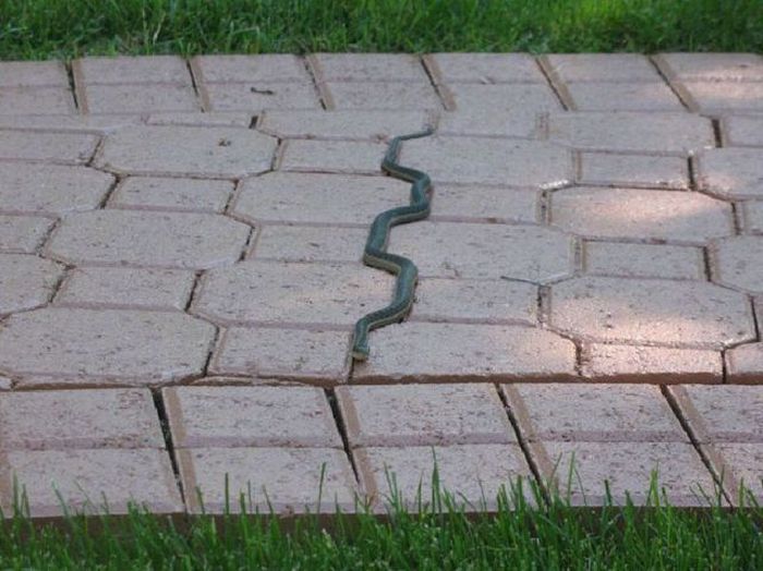 acid_picdump_61.jpg