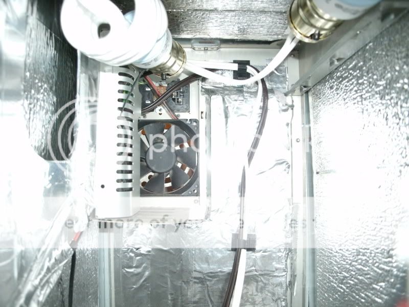 GEDC0397.jpg