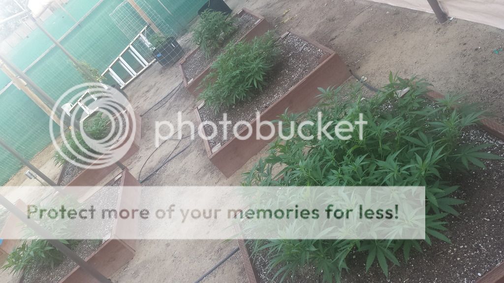 20150610_185149.jpg