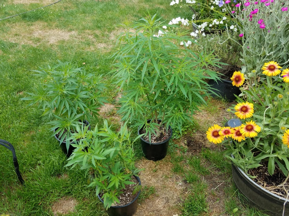 outdoor06242021.jpg