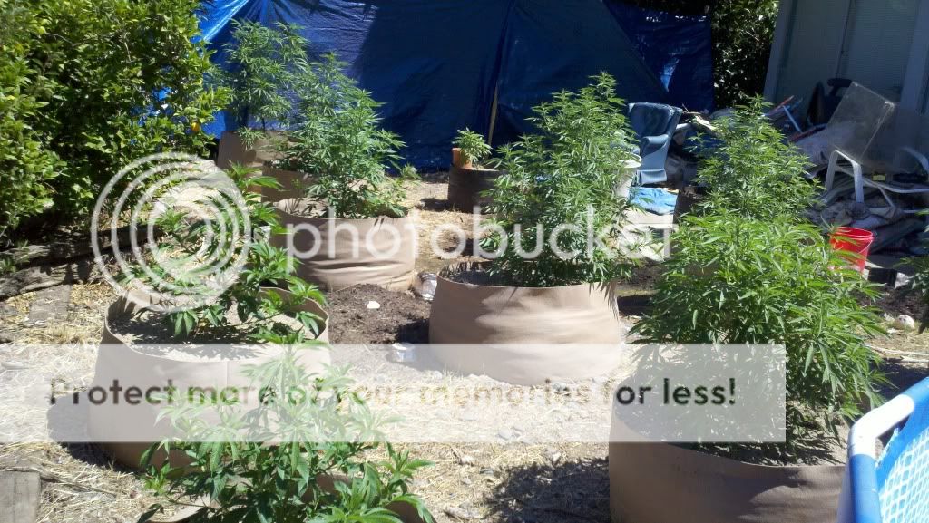 2011-07-01_15-02-33_587.jpg