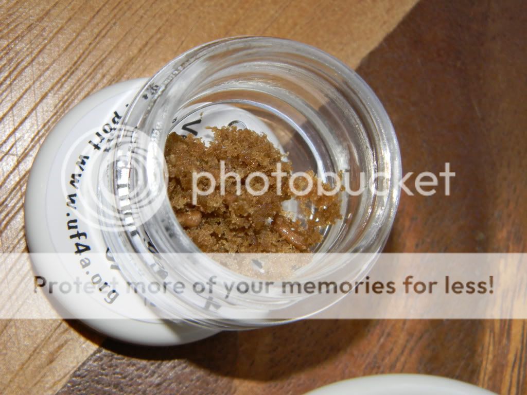 DSCN0384.jpg