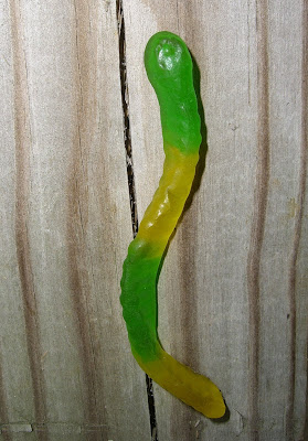 Gummy+Worm.jpg
