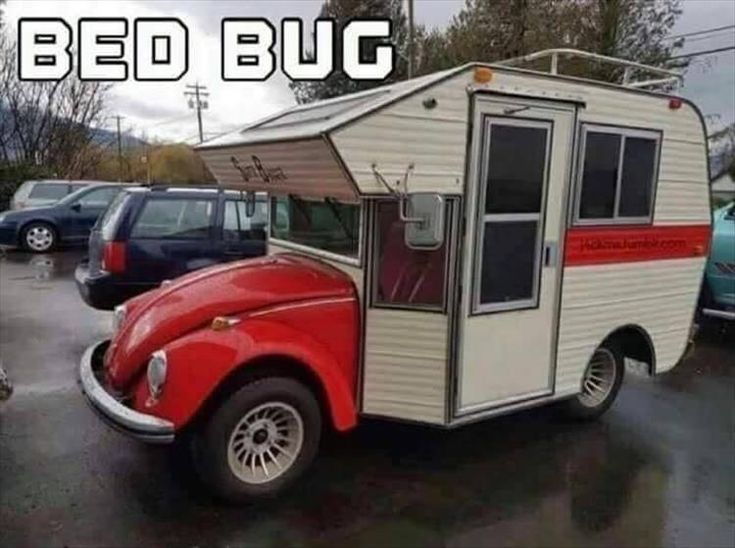 Morning Funny Memes 35 Pics | Volkswagen beetle