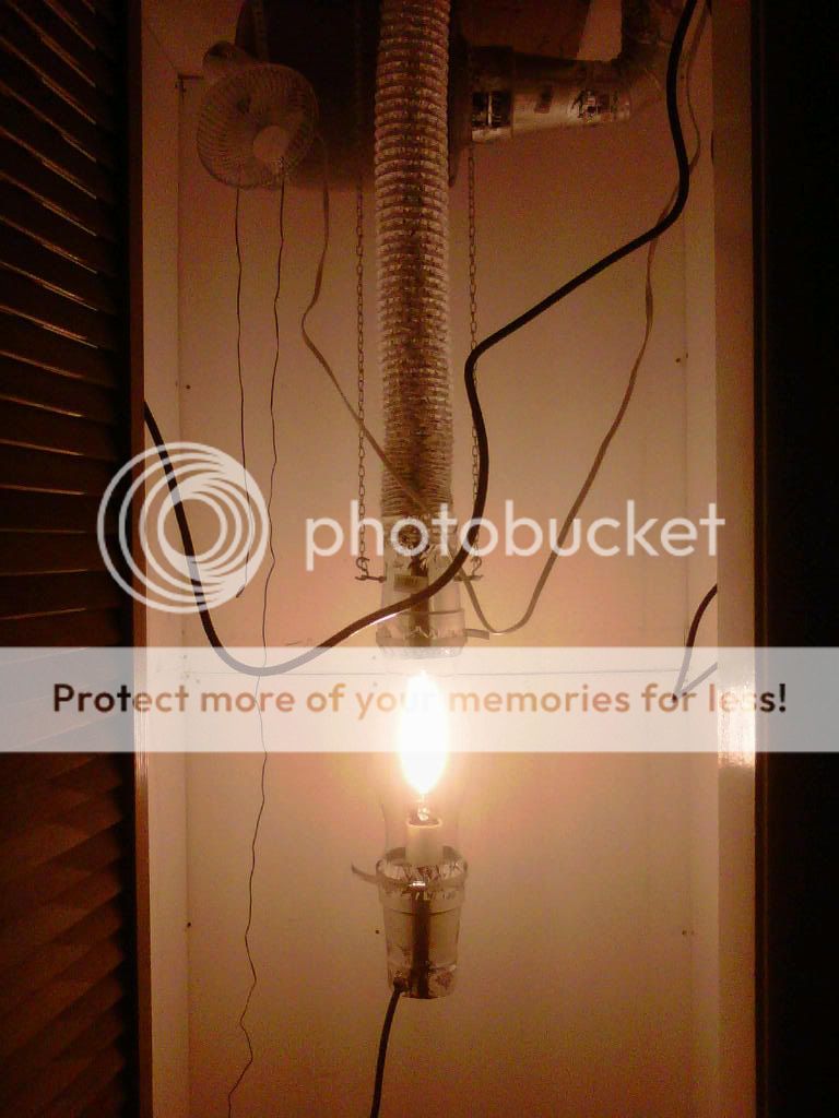 IMG00051-20100815-2045.jpg