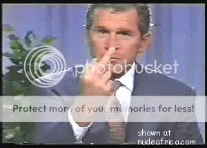 4487202.jpg