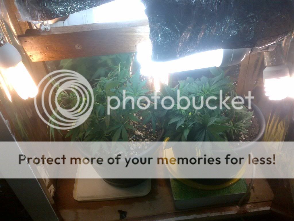 231202620232202-1.jpg