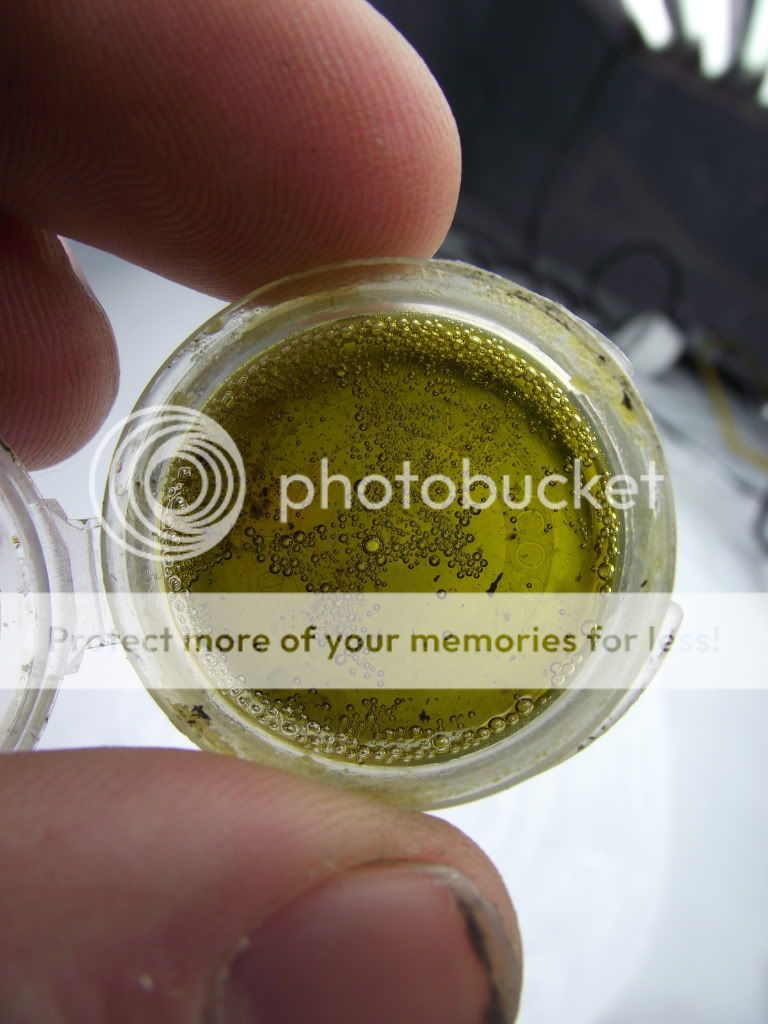 DSCF2104.jpg