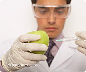 Gmo.jpg