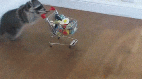 shopping-grocery.gif