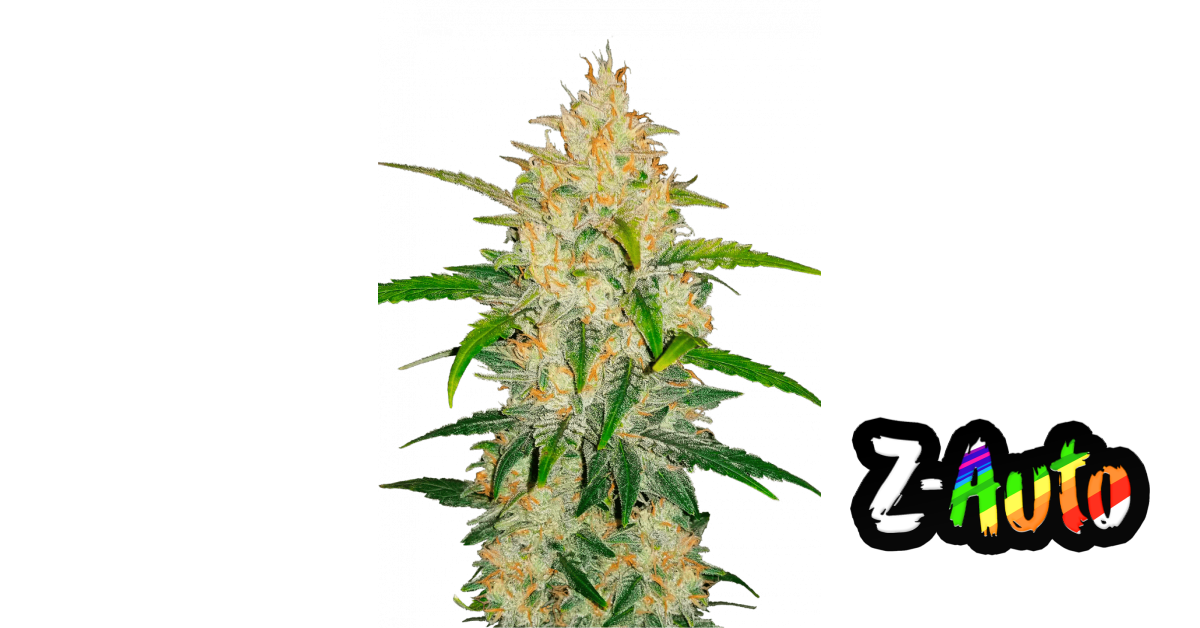 2fast4buds.com
