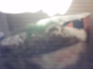 fcdf41f9.jpg