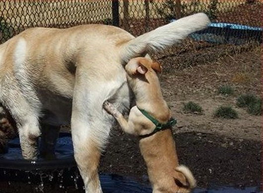 caption_this13.03.09.jpg