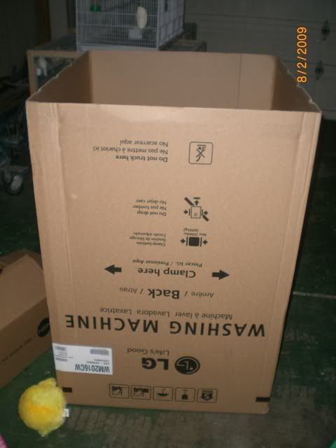 CIMG1447.jpg