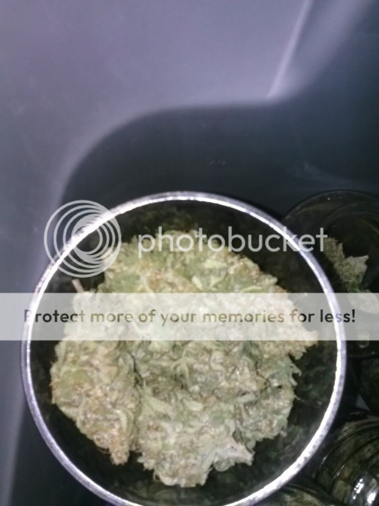 CAM00776_zps85d43b42.jpg