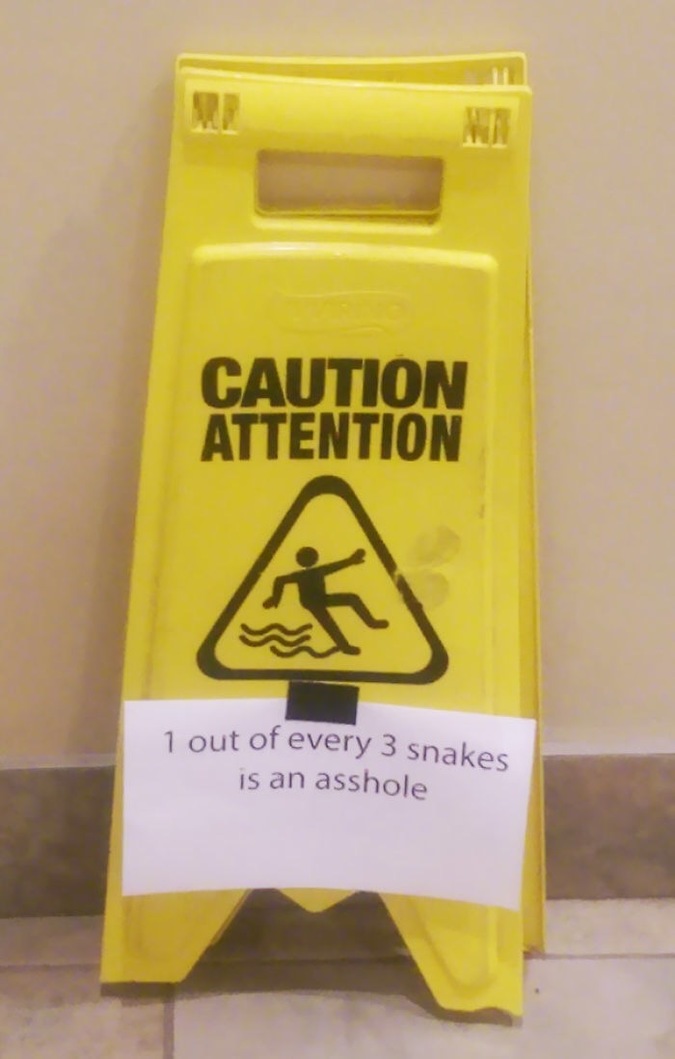 12snakes.jpg