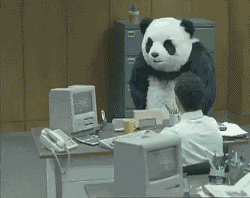 i-quit-panda-office-rage-nrb3zqj00kk5dpuz.gif