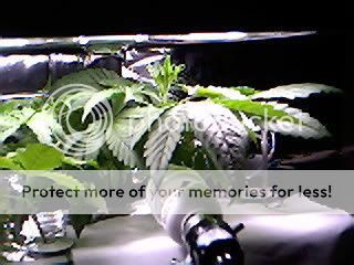 Sample_10.jpg