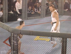1238674331_fight-flip-kick-fail.gif